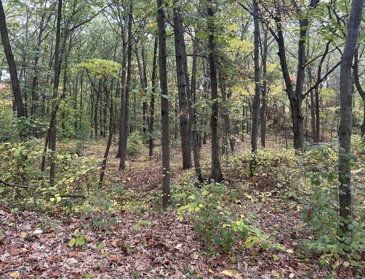 Property Photo:  4051 Highview Path  MI 49038 
