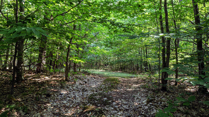 Property Photo:  1245 W River Ridge Road  MI 49449 