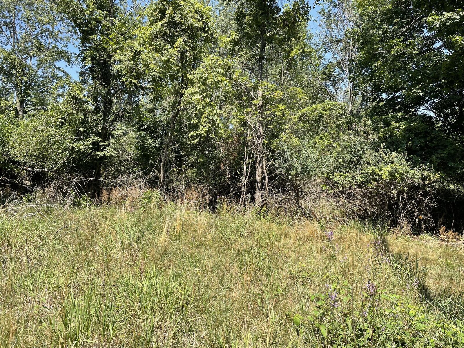 Property Photo: 6893 Wiley Road MI 49408