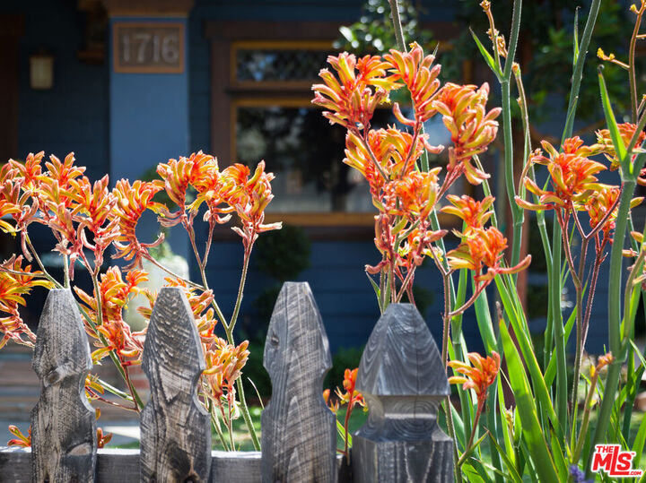 Property Photo:  1716 S Hobart Boulevard  CA 90006 
