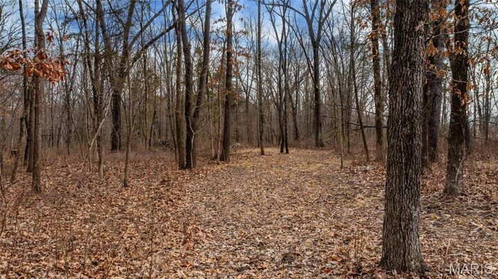 Property Photo:  0 Duffs Lane  IL 62049 