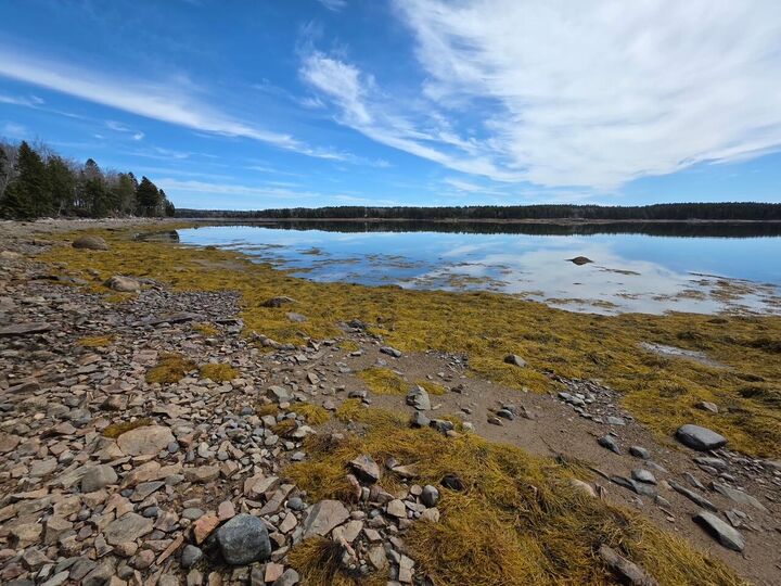 Property Photo:  Lot 4 125 Aspen Lane  ME 04680 