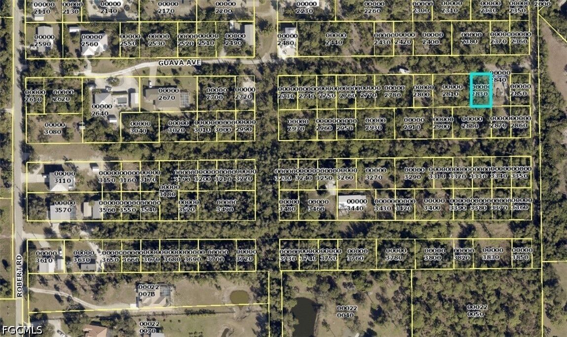 Property Photo: Guava Avenue FL 33922