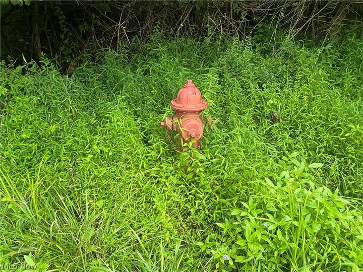 Property Photo: Country Club Road OH 43907