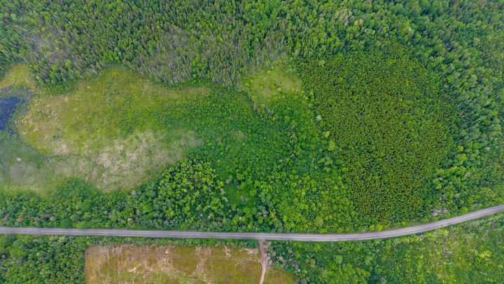 Property Photo:  No 204 Highway Highway  NS B0M 1P0 