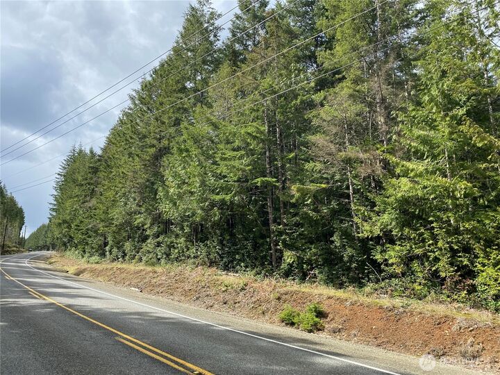 Property Photo: 0 Tr4 E Mason Lake Road WA 98546