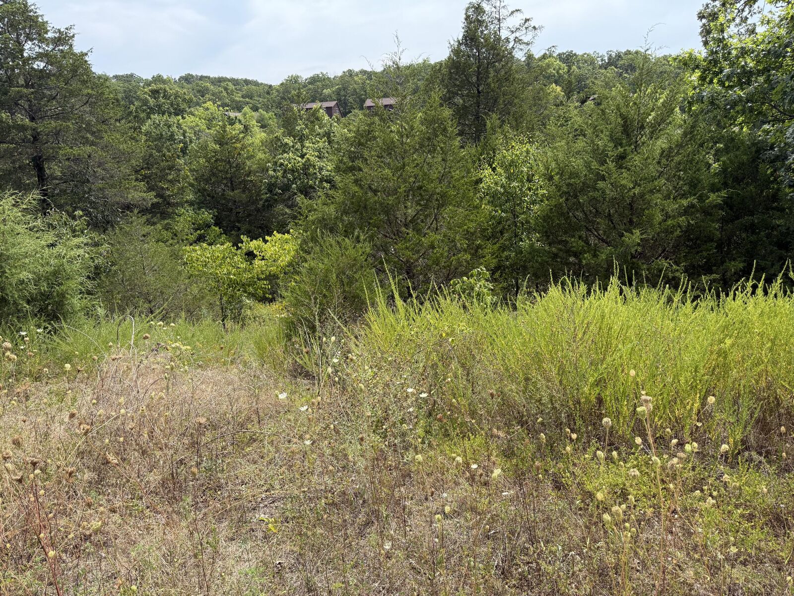 Property Photo:  224 Blue Lake Trail  MO 65737 