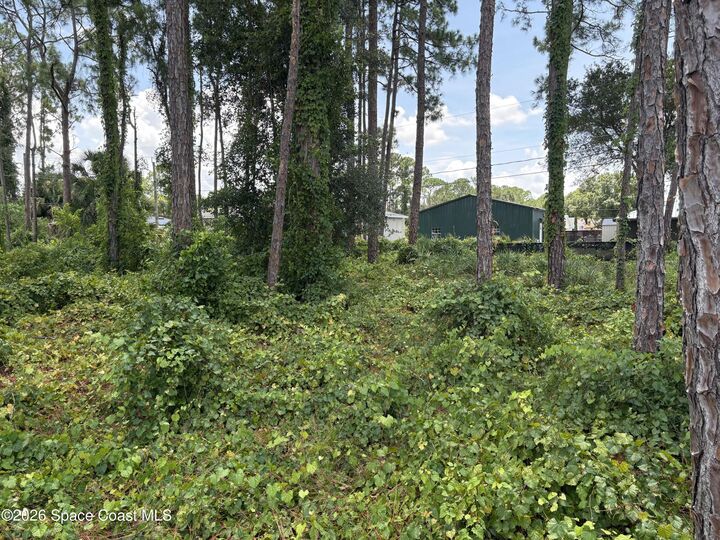 Property Photo: 1524 Holbrook Road NW FL 32907