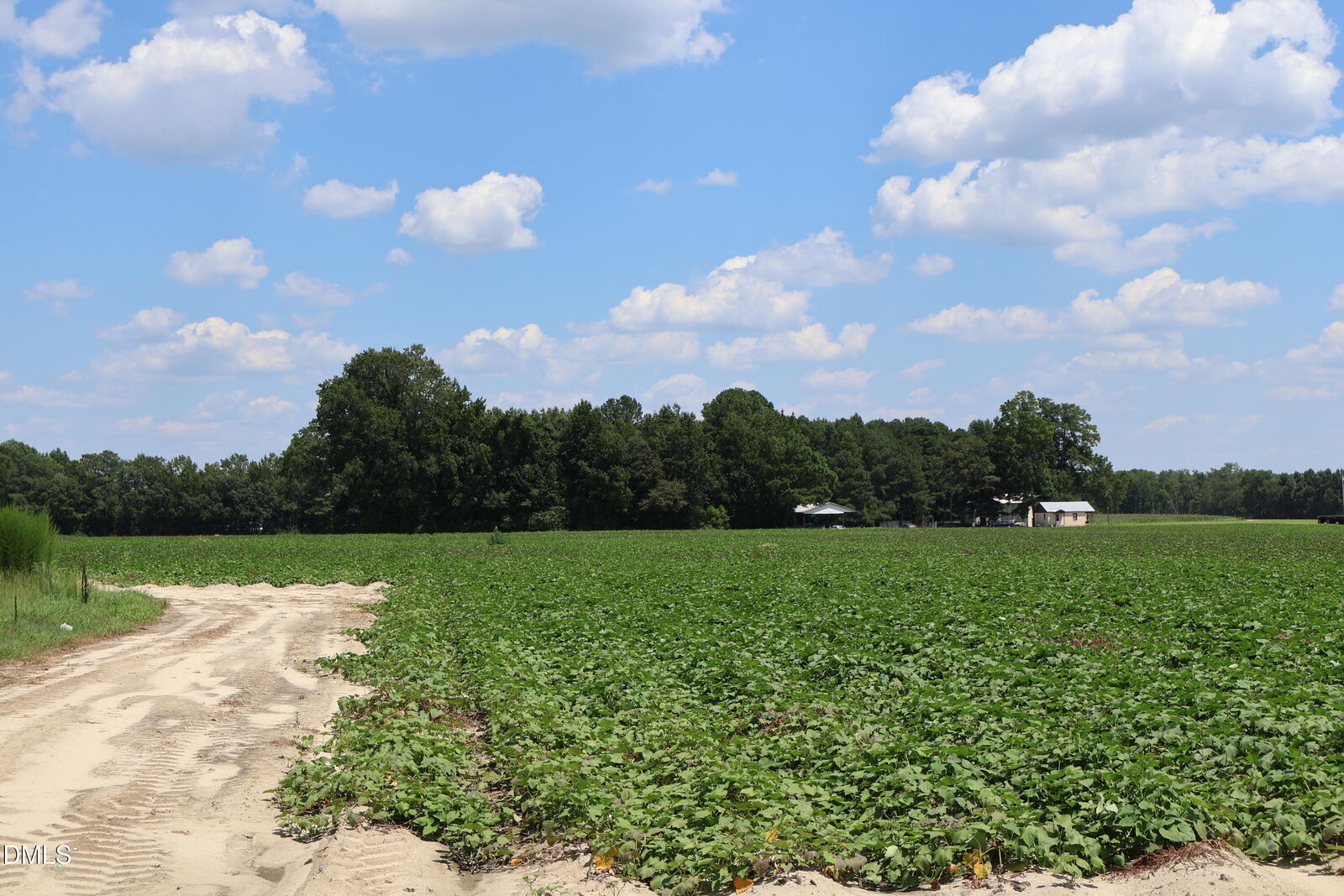 Property Photo:  1 Holly Grove Road  NC 27504 