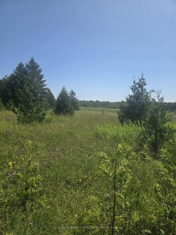 Property Photo:  N/A Government Rd Acres W  ON P0P 2C0 