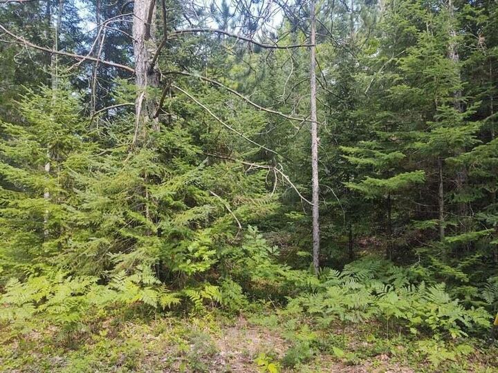 Property Photo:  Grace Harbor Road  MI 49759 