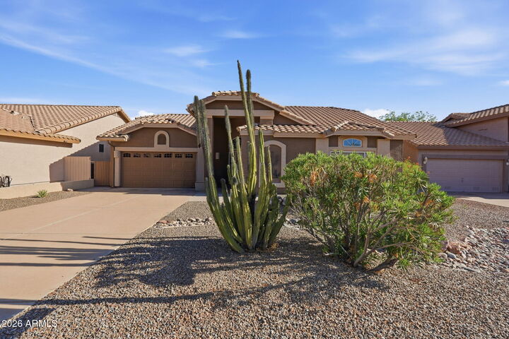 Property Photo:  8527 E Saguaro Blossom Road  AZ 85118 