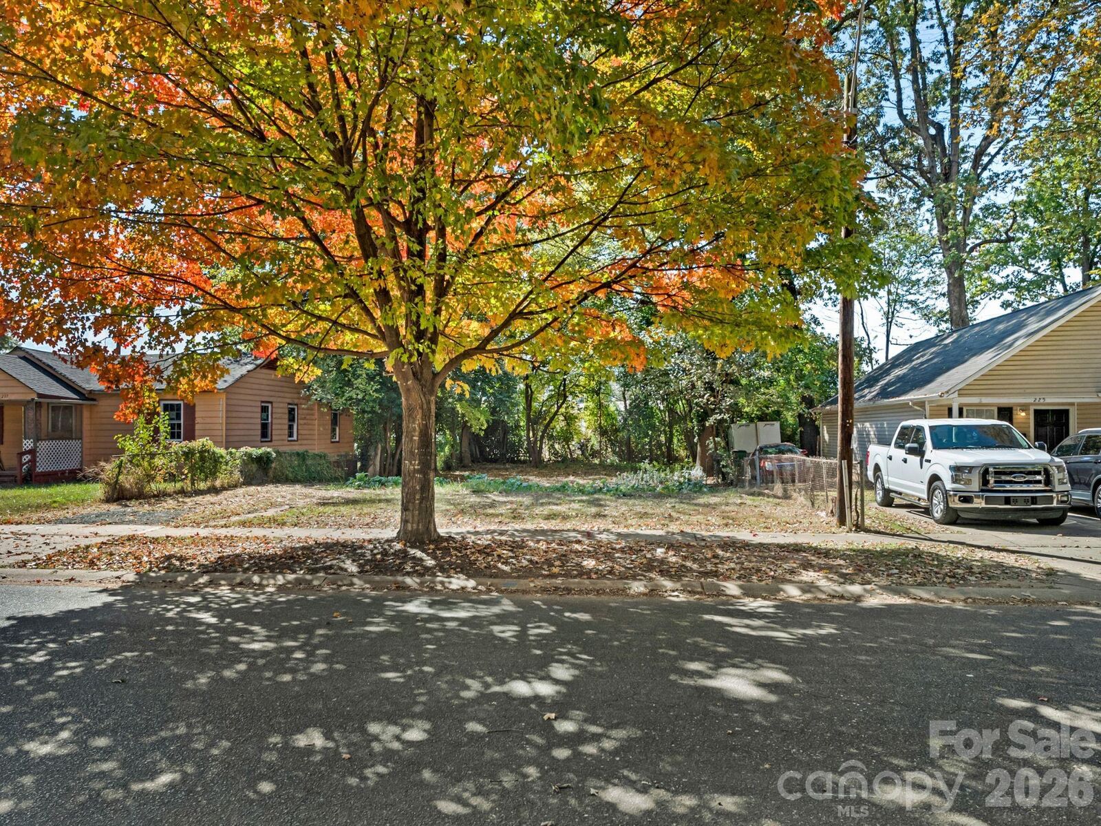 Property Photo:  221 Plymouth Avenue  NC 28206 