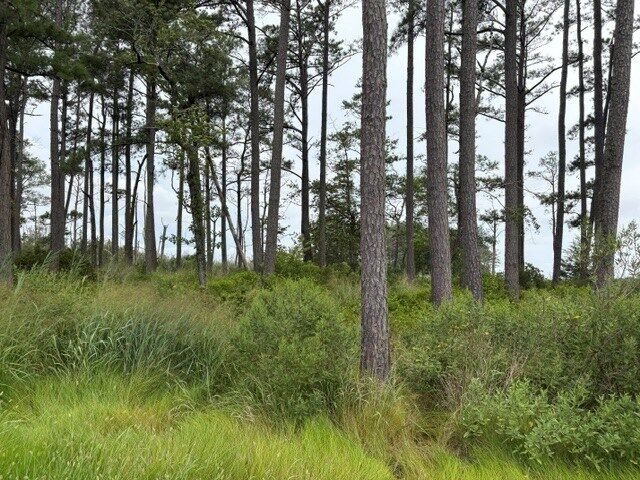 Property Photo:  0 Ridge Rd  VA 23308 