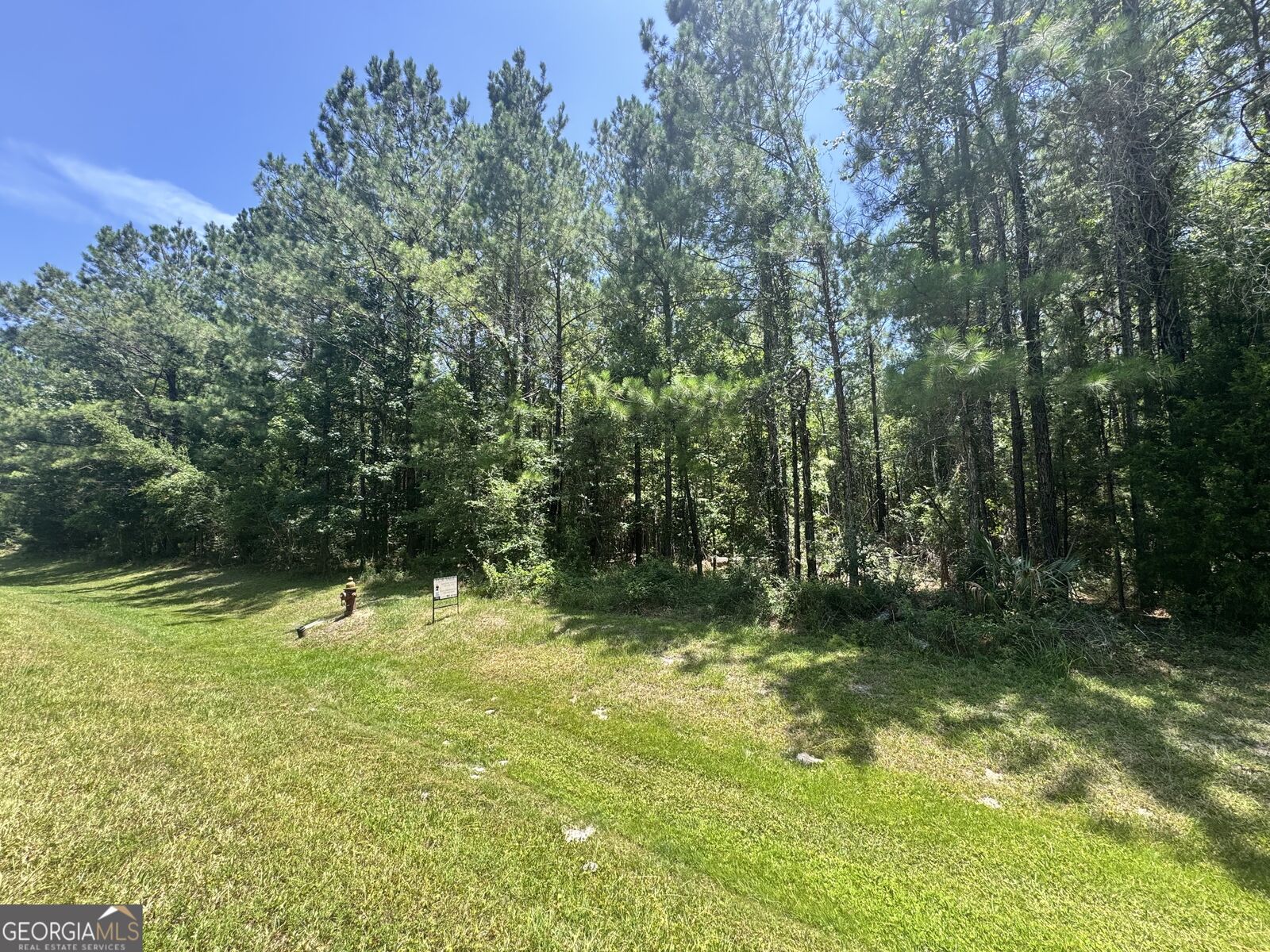 Property Photo:  Lot 88 La Sole Lane  GA 31565 