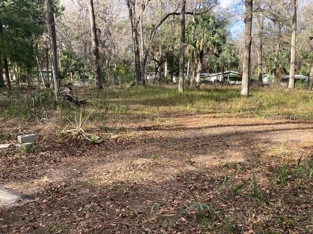 Property Photo:  2456 N Jungle Camp Road 1  FL 34453 