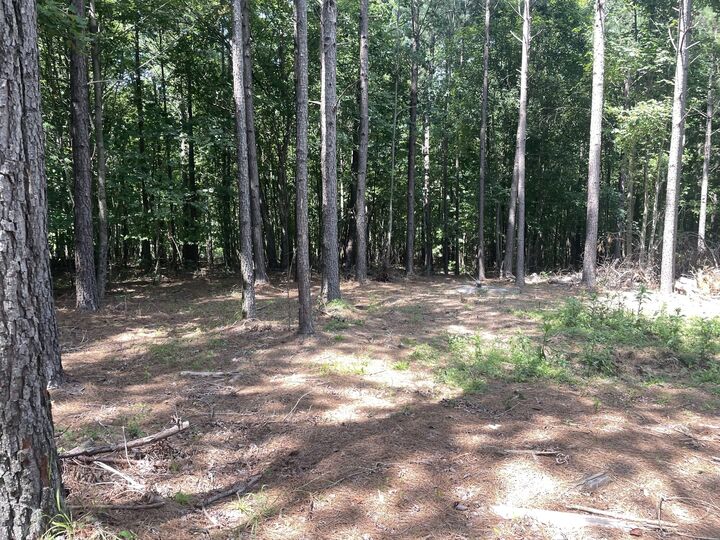 Property Photo:  0 Tall Woods Ln  TN 38585 