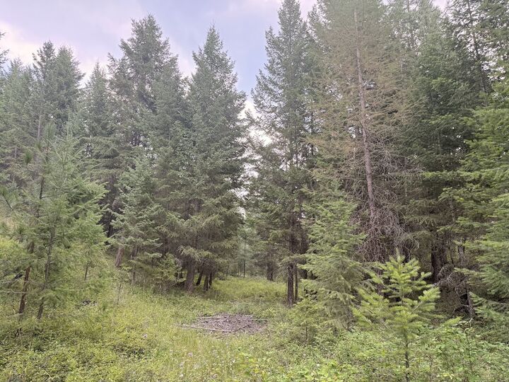 Property Photo: 47466 Harmony Lane MT 59929