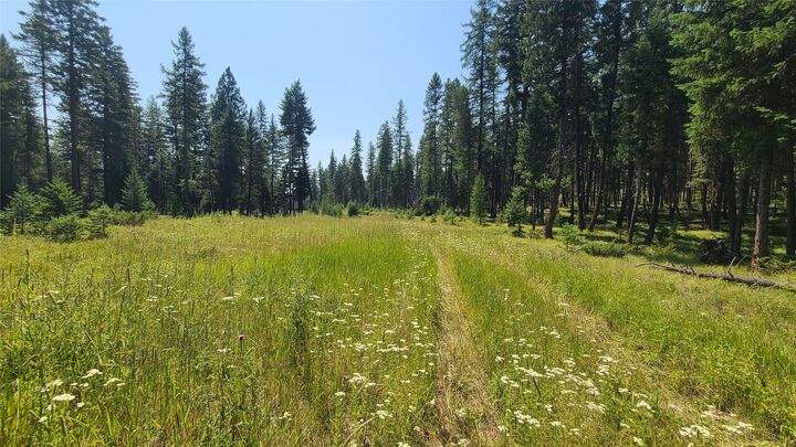 Property Photo:  128 Whitefish Forest Loop  MT 59937 