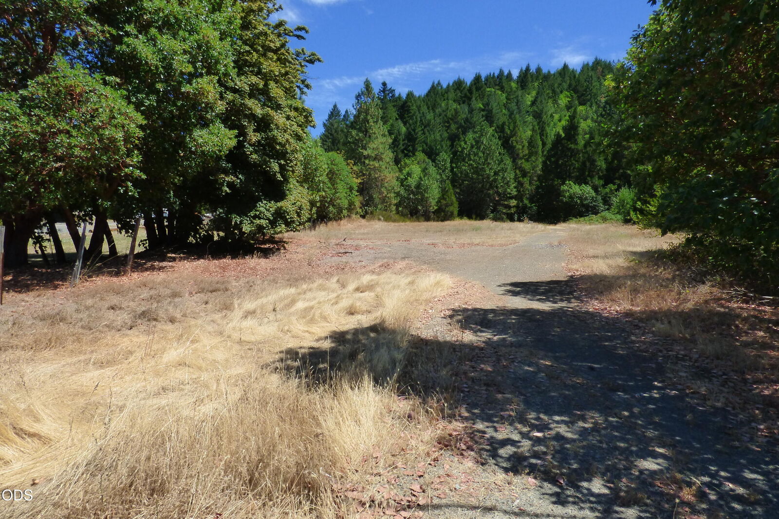 Property Photo: 458 Sunny Valley Loop OR 97497