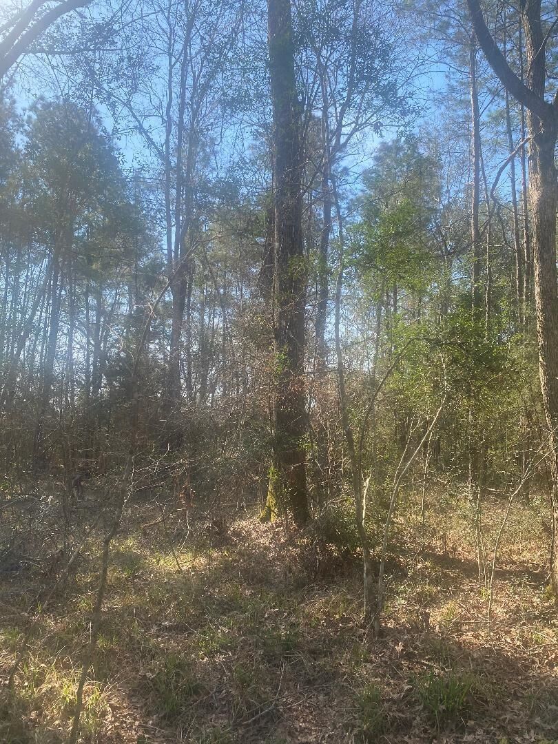Property Photo:  0 Fm 787  TX 77376 