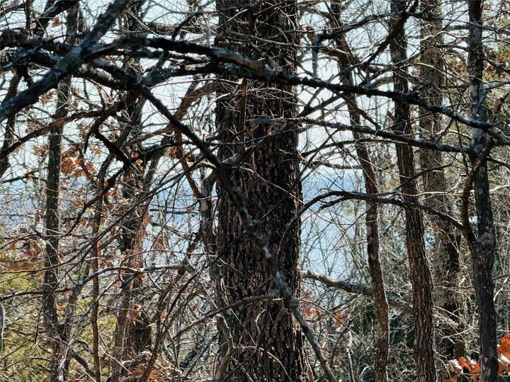 Property Photo: Mountain View Road OK 74432