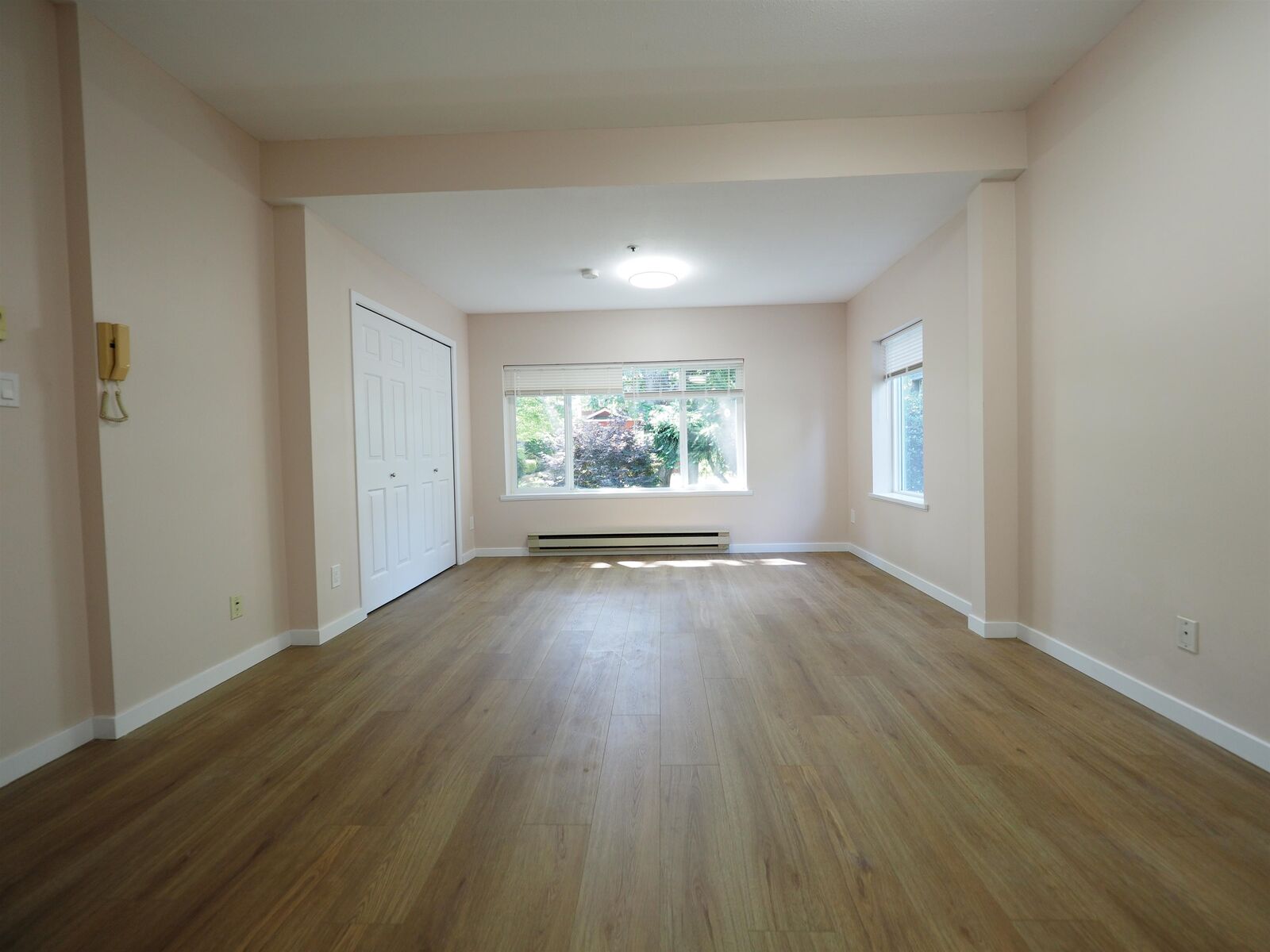 Property Photo:  345 W 15th Avenue 2  BC V5Y 1Y3 