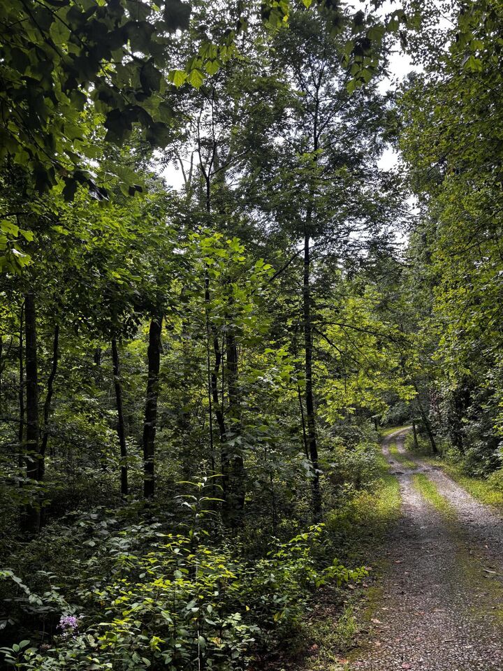 Property Photo:  266 Cove Hill Road  TN 37367 