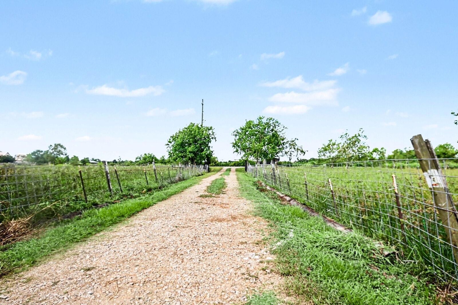 Property Photo: 2925 Fm 2917 TX 77511