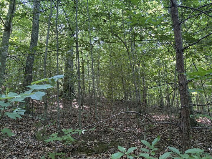 Property Photo:  28 Squib-Ano Road  KY 42501 