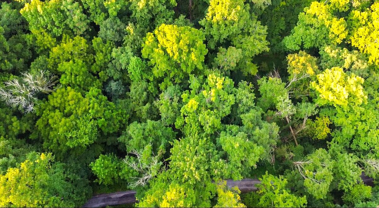 Property Photo:  0 Holiday Haven Rd  TN 37166 