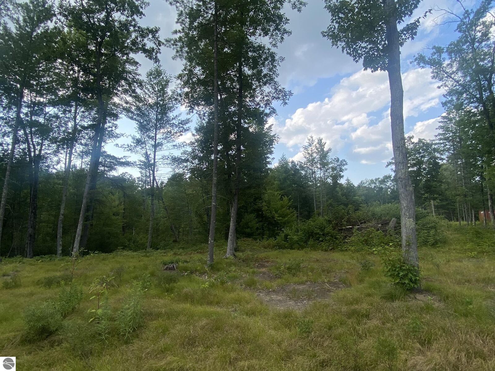 Property Photo:  00 S Emma Avenue  MI 49304 