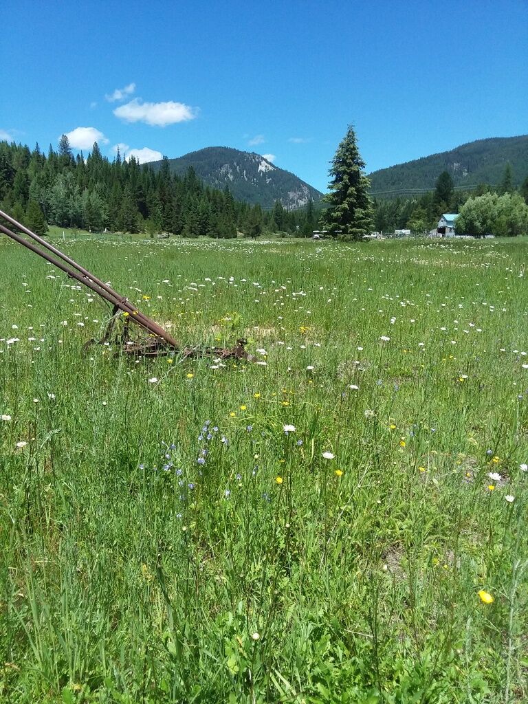 Property Photo: 77 Wildwood Drive MT 59830