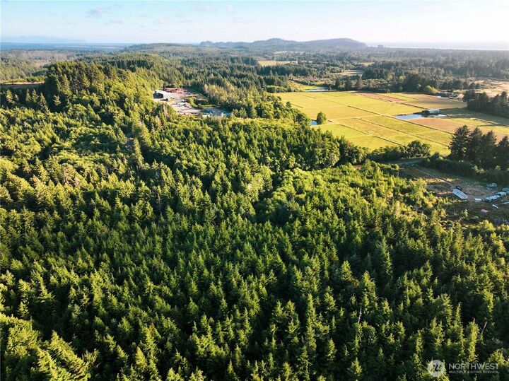 Property Photo:  4201  67th Place E  WA 98631 