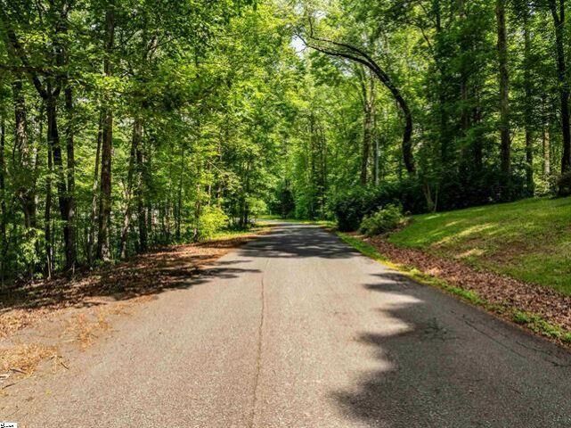 Property Photo:  67 &Amp 68 Wildflower Lane ***  SC 29690 