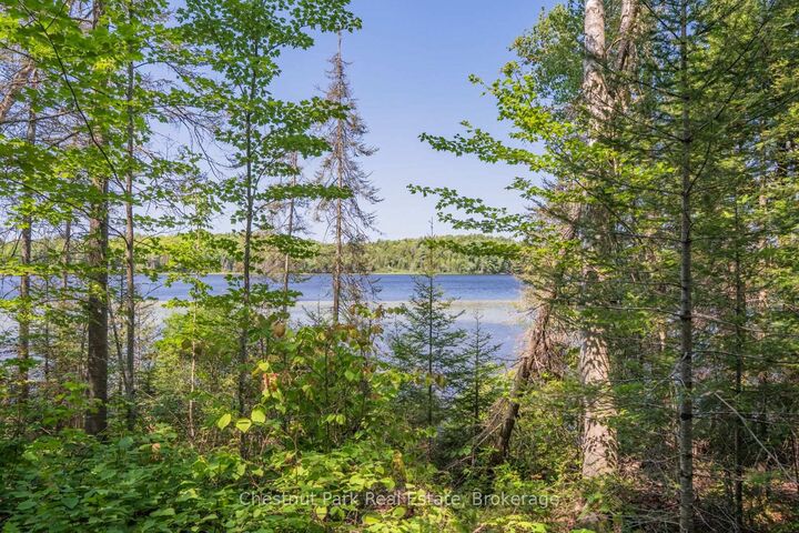 Property Photo:  Part 8,9,10  Pool Lake Con 2 Pt Lot 19 Rp 42R18158 N/A  ON P0A 1Z0 