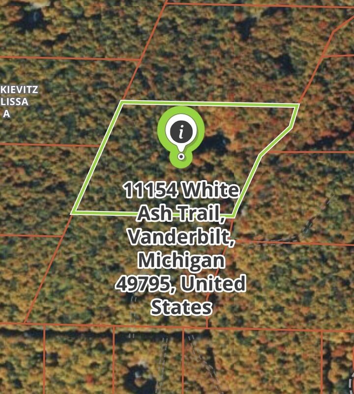 Property Photo: 11154 White Ash Trail MI 49795