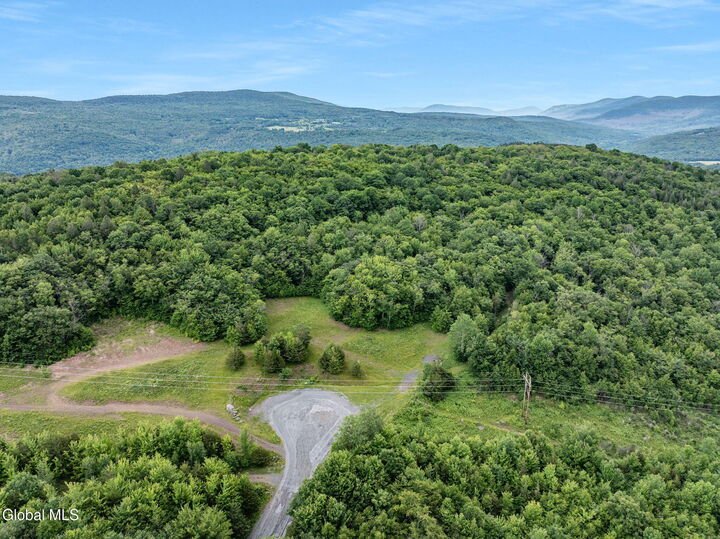 Property Photo: L35 Overlook Drive NY 12452