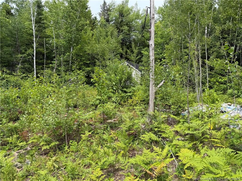 Property Photo:  876 Green Road  NB E4Z 1V5 