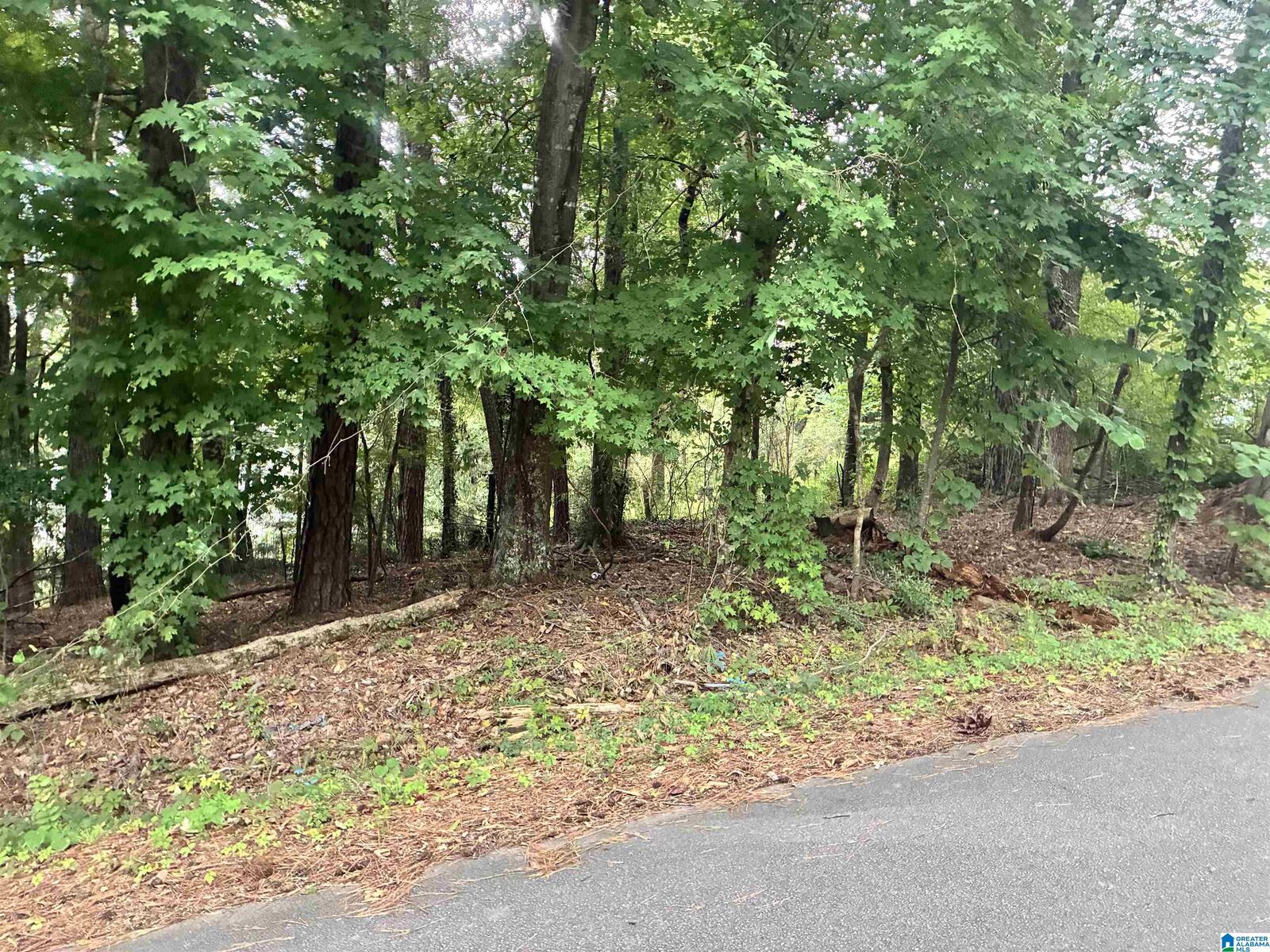 Property Photo: 316 Warrior River Highlands Road 27 AL 35006