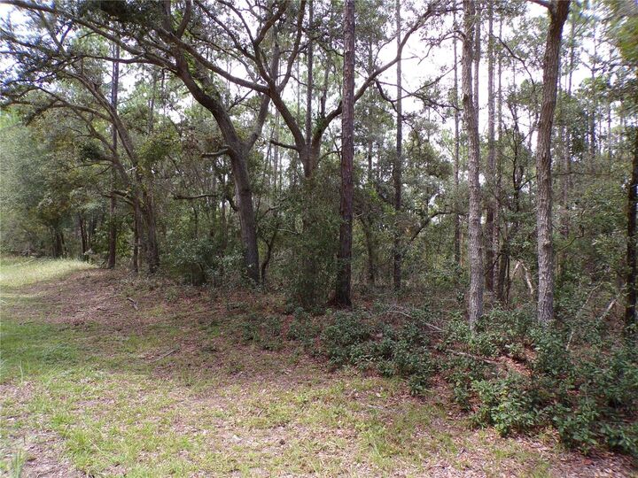 Property Photo: 601 E Marquette Lane FL 34434