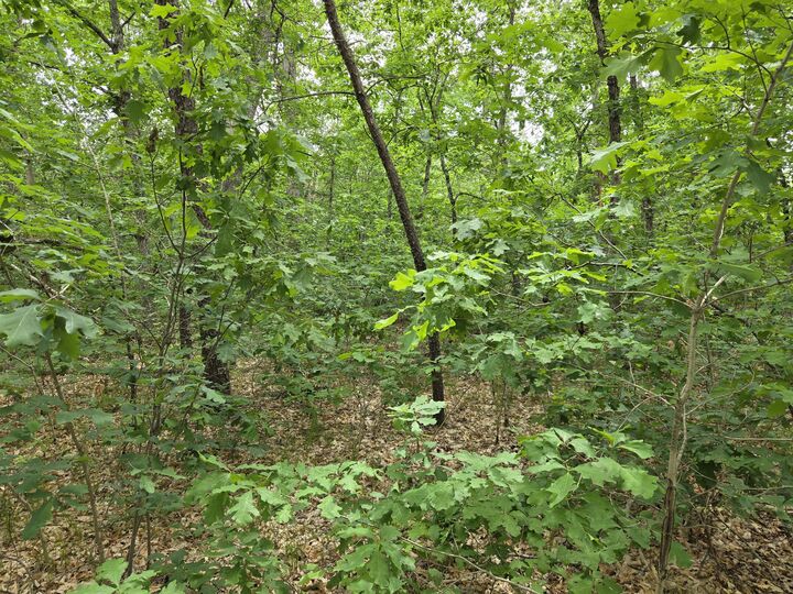 Property Photo: V/L 10-13 W Oliver Road MI 49304