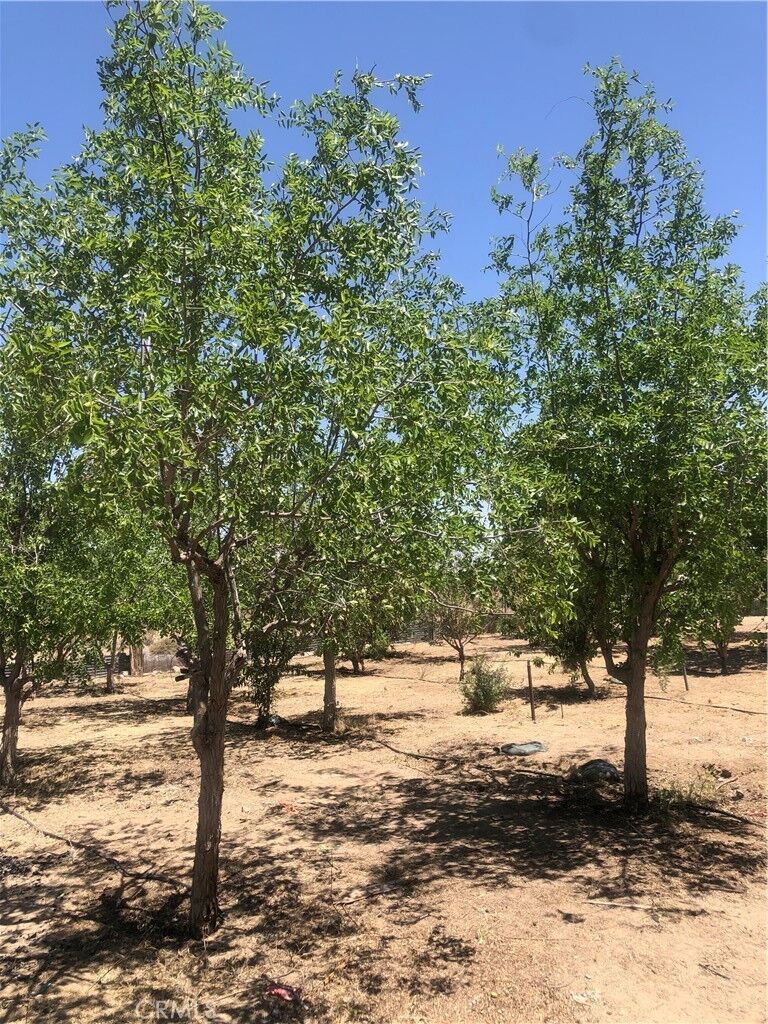 Property Photo: 32726 Agate Road CA 92356