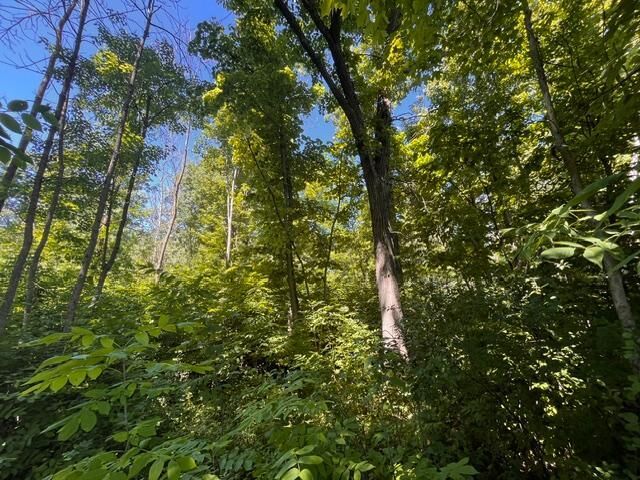 Property Photo: Lot 1 County Road Bb WI 54028