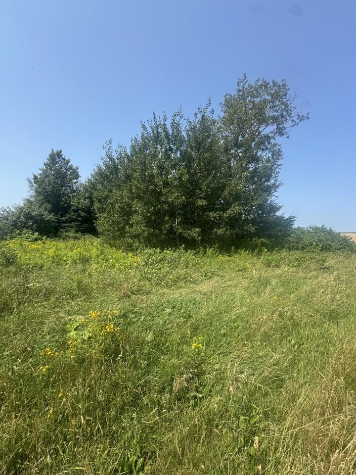 Byrnes Road Lot — photo 1