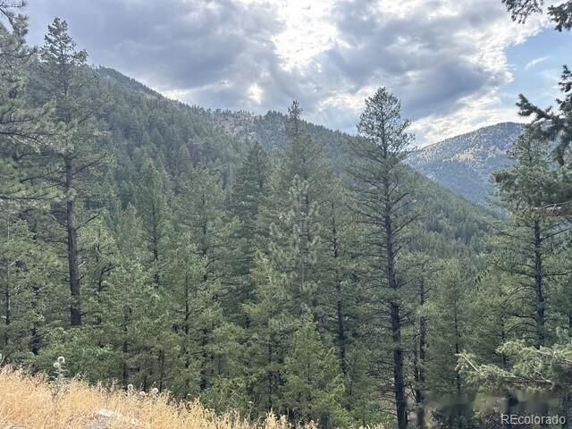 Property Photo:  397 Glendale Gulch Road  CO 80455 