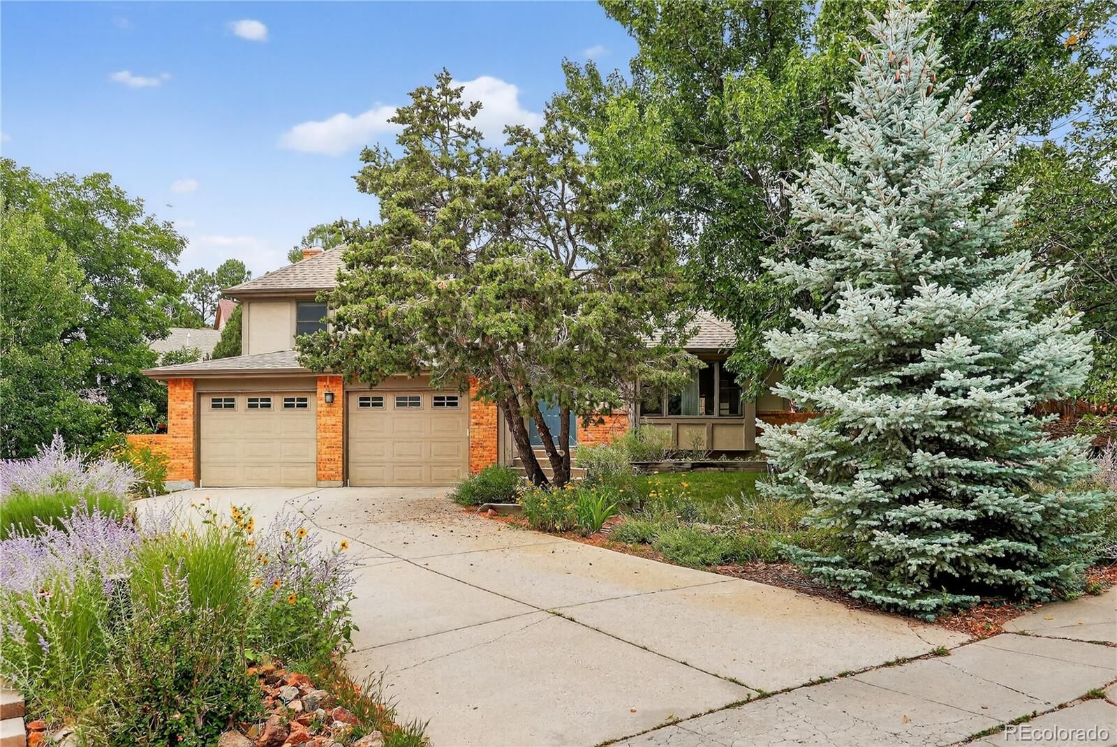 Property Photo:  920 Grey Eagle Circle N  CO 80919 