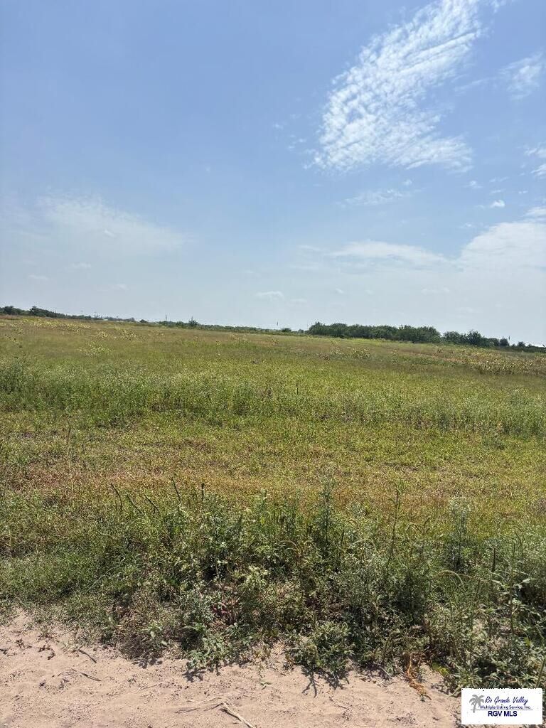Property Photo:  00 E Cantu Rd.  TX 78570 