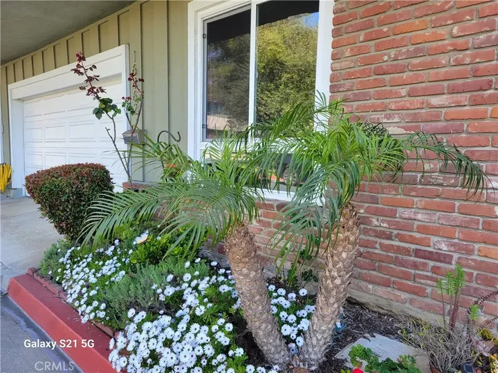 Property Photo: 16862 Coach Lane CA 92649
