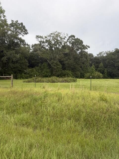Property Photo:  0 State Highway 103 Lot 2  AL 36375 